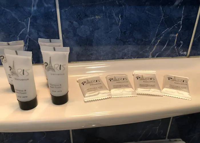 Hotel Le Saint-Hubert - Gare De Lyon Bastille 3*